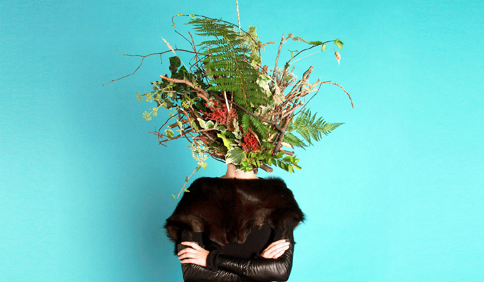 Showcase2016 Showcase2016